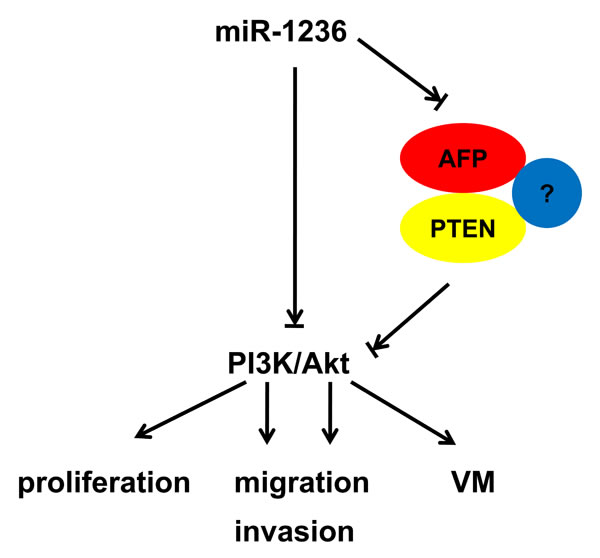 fig7