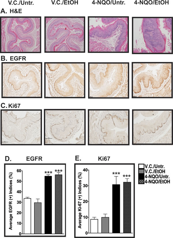 fig1