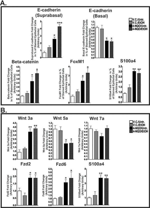 fig3