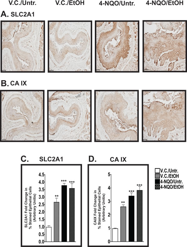 fig4