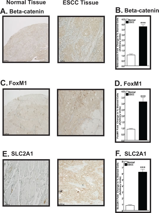 fig5