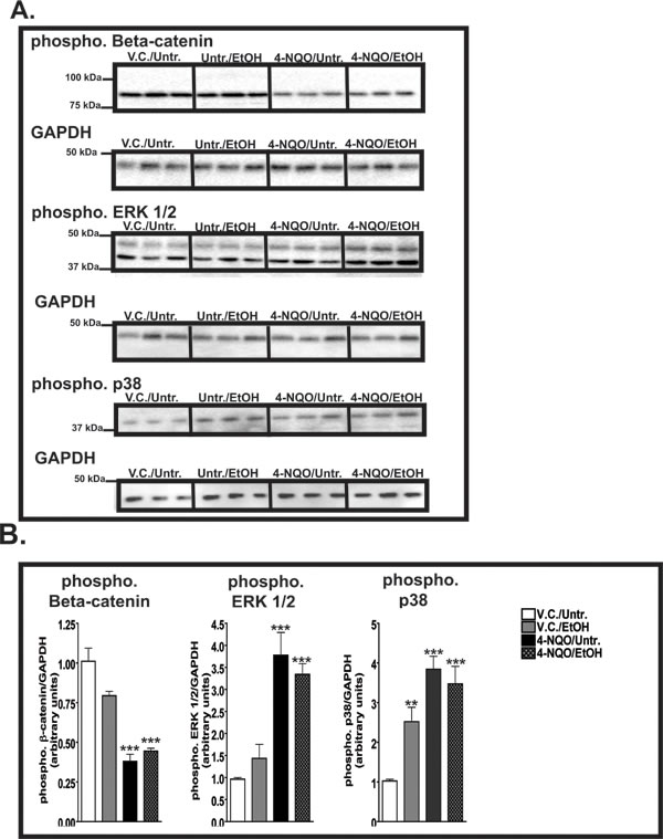 fig6