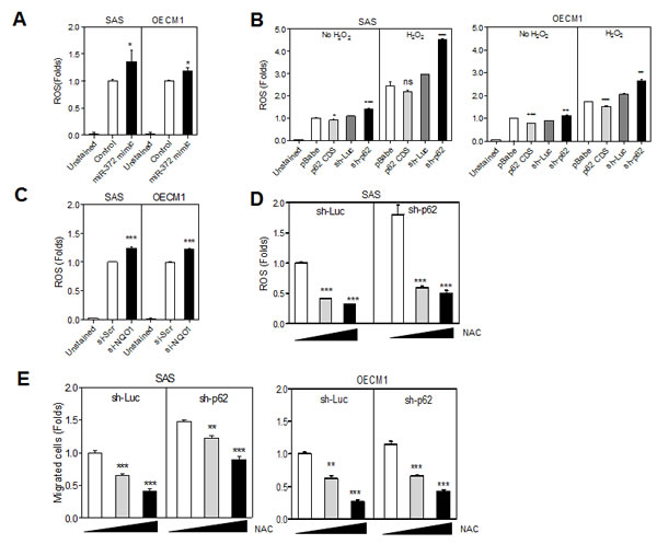 fig4