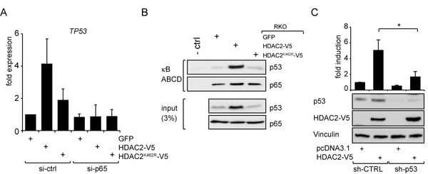 fig3
