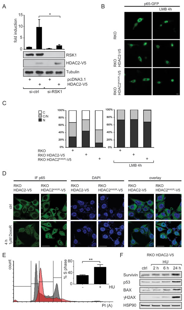 fig4