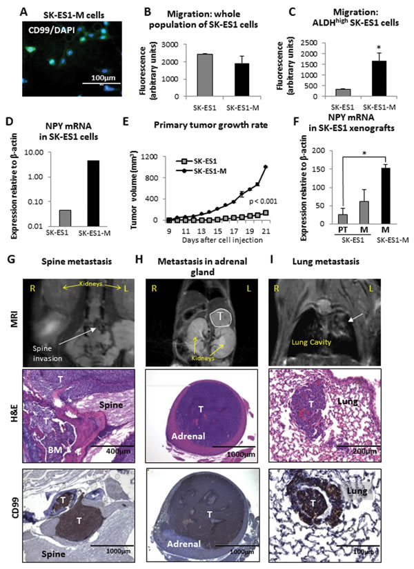 fig3