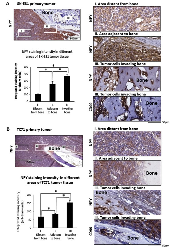 fig4