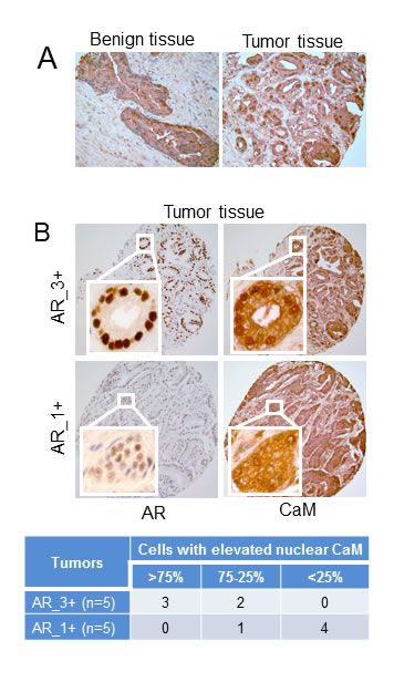 fig1