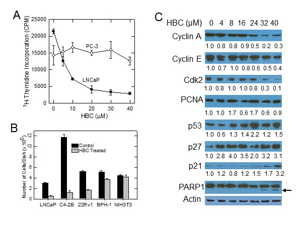 fig2