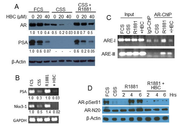 fig4