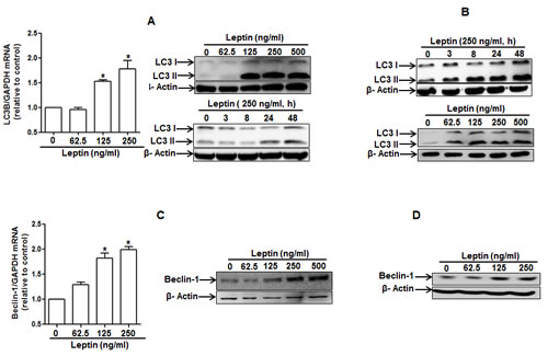 fig2a