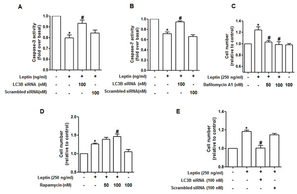 fig3