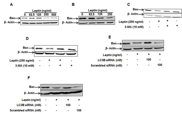 fig4