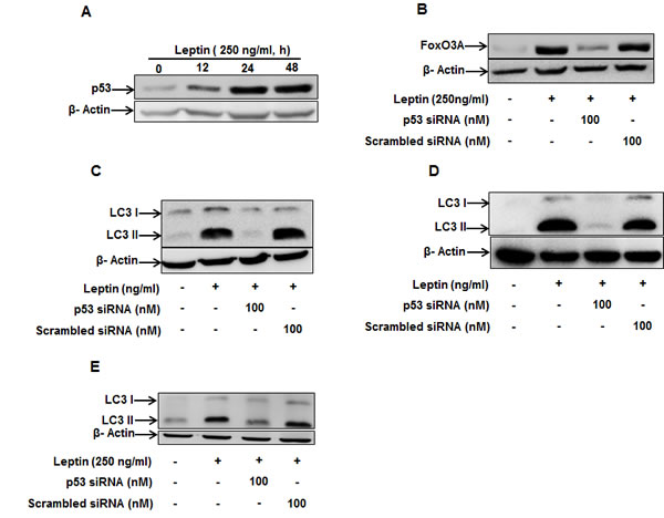fig6