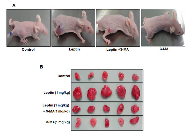 fig7a