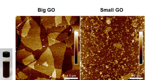 fig1