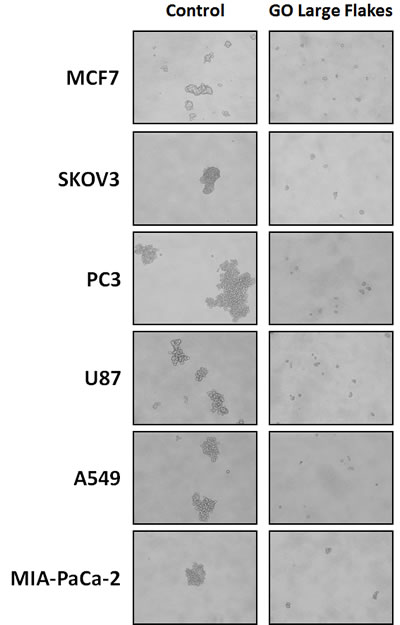 fig4
