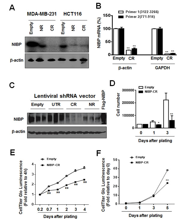 fig2