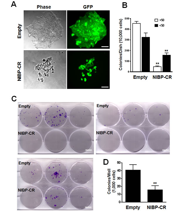 fig3