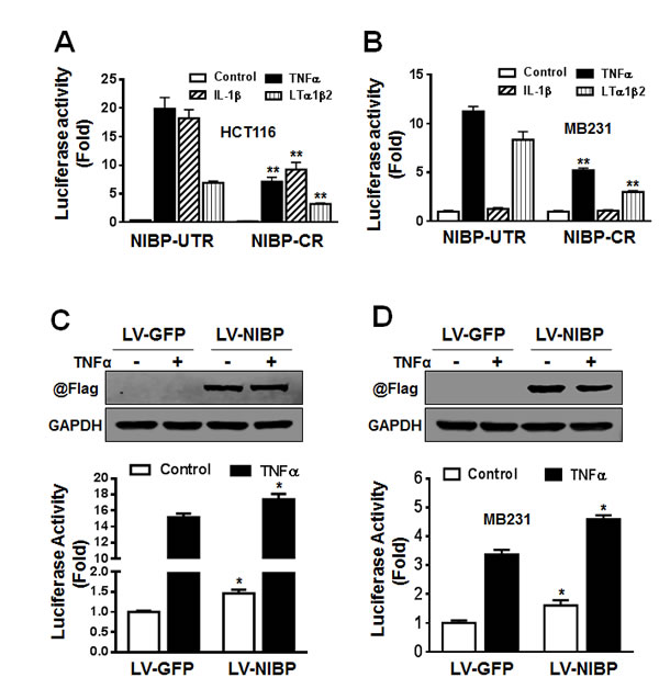 fig6