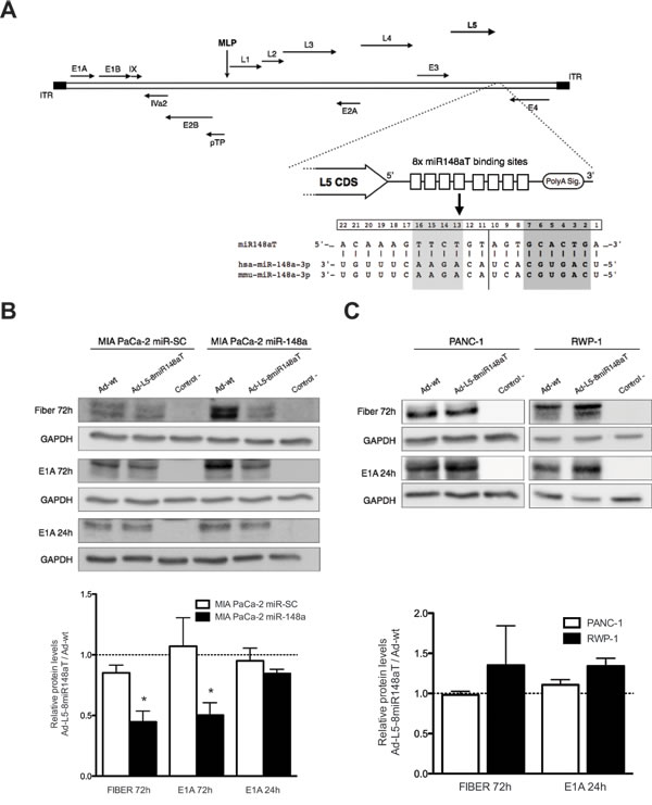 fig1
