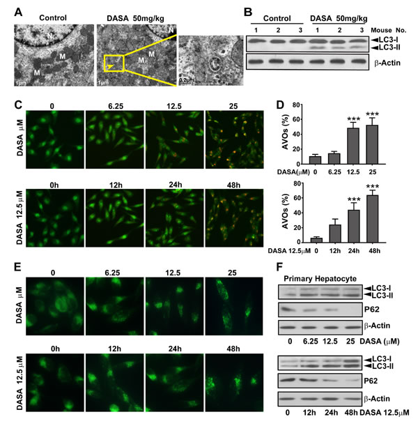 fig2