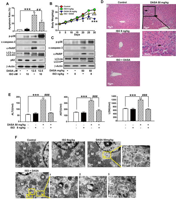fig7