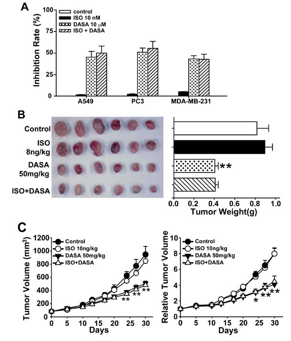 fig8