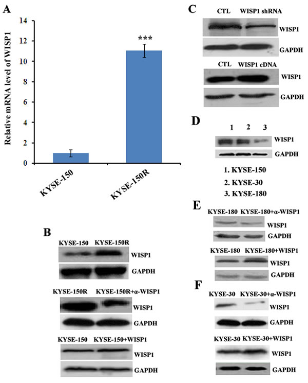 fig3
