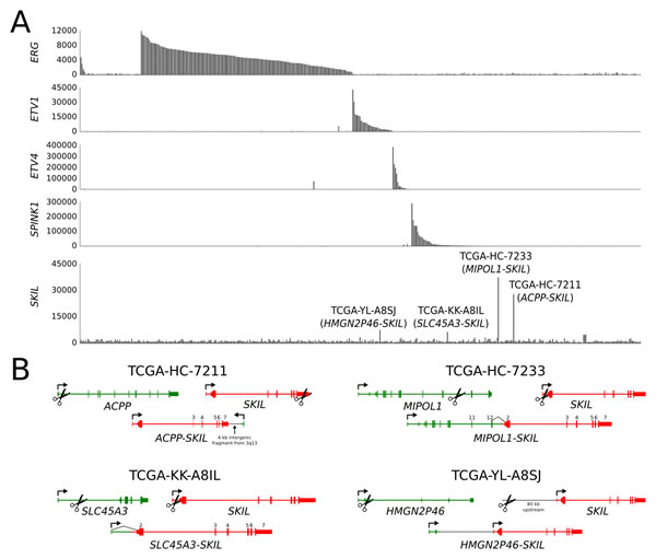 fig2