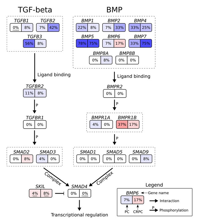 fig6