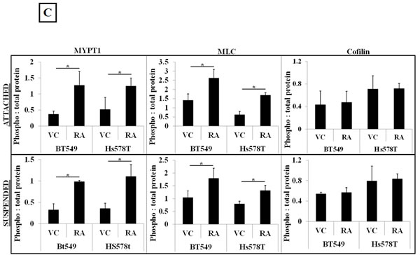 fig2b