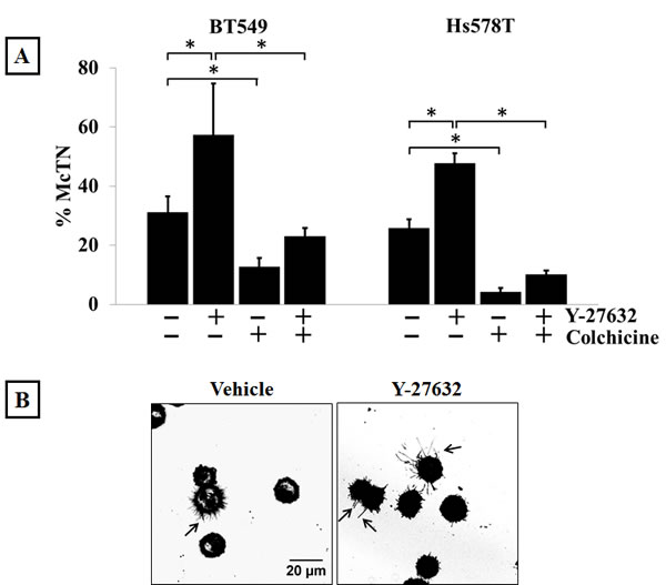 fig3a