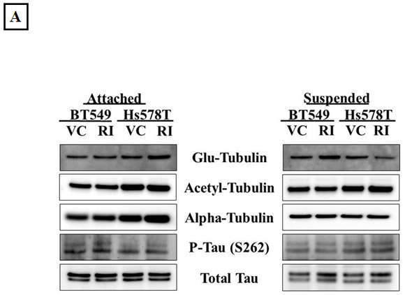 fig4a