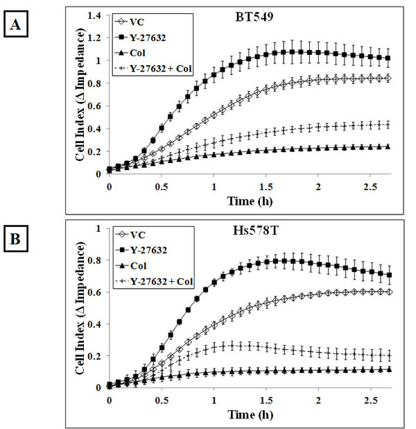fig5a