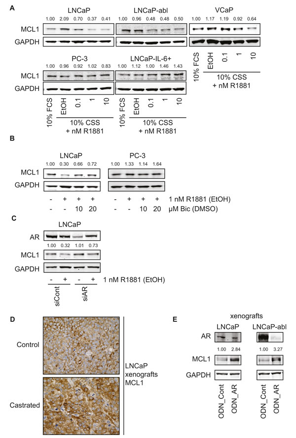 fig2