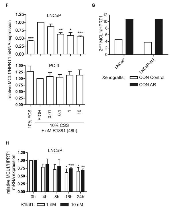 fig2a