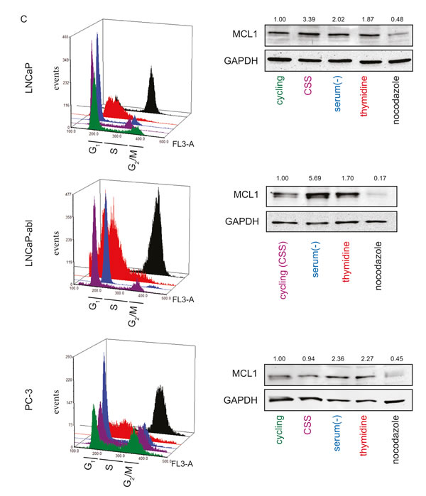 fig3a