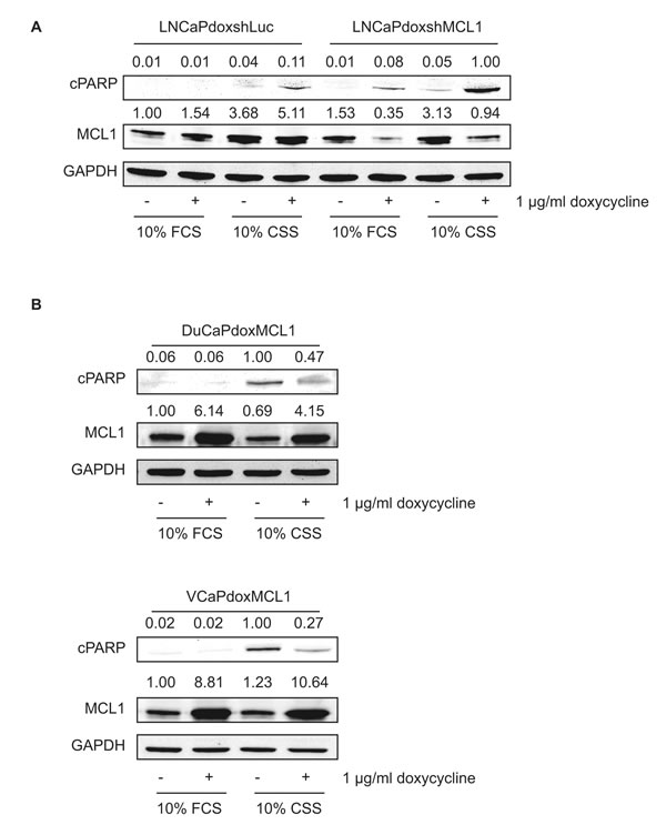 fig4