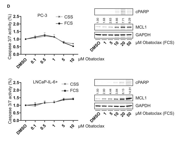 fig5a