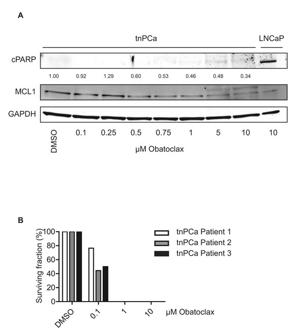fig6