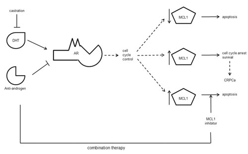 fig7