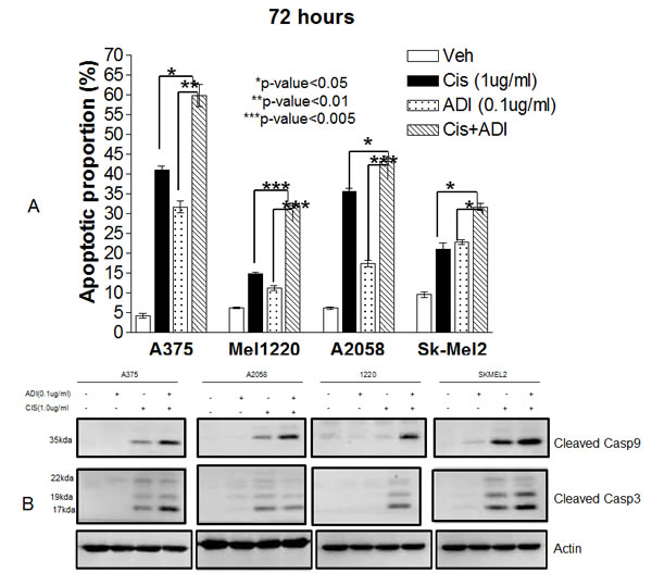 fig2