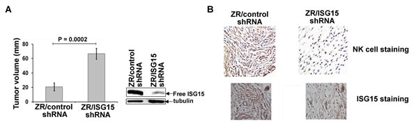fig1