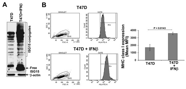 fig3