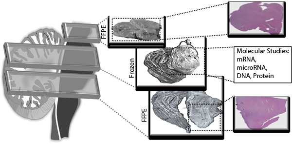 fig4