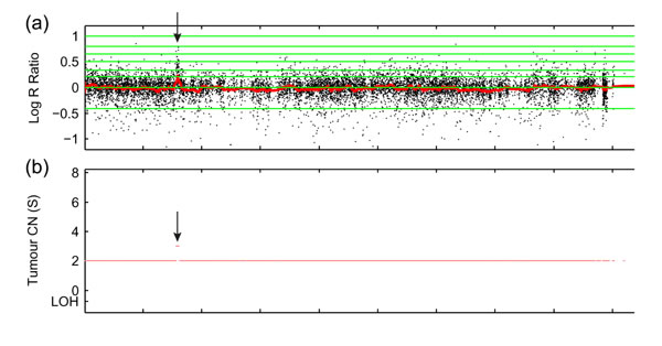 fig1