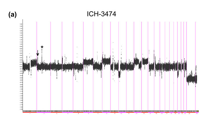 fig2a
