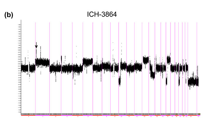 fig2b