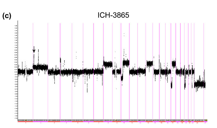 fig2c